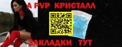 jwh Кингисепп