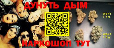 гидропоника Кинель