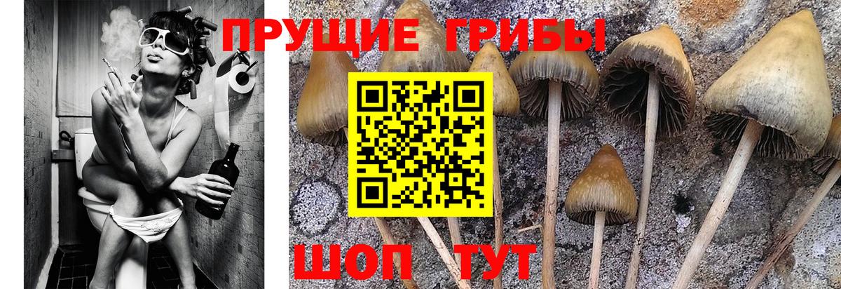 АМФЕТАМИН Евпатория